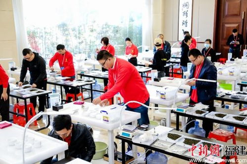 福建省評茶員職業(yè)技能競賽在泉州臺商投資區(qū)舉辦