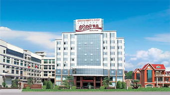 艾比利薯片招商加盟代理 盼盼艾比利薯片