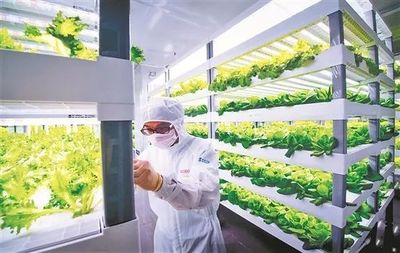 安溪變奏曲 致敬新時代泉州人才