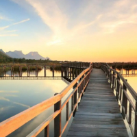 黨建引領，人才集聚 泉州人才發展中的黨建品牌提升策略